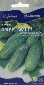 Огурец Амур 180 F1. Дом Семян