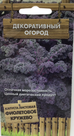 Капуста листовая Фиолетовое кружево. Поиск