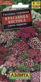 Гвоздика турецкая Красавица востока, смесь окрасок. Аэлита