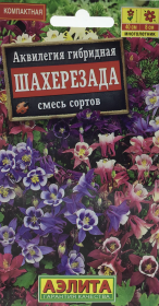 Аквилегия Шахерезада, смесь сортов. Аэлита