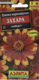 Цинния мариландская Захара санберст. Аэлита