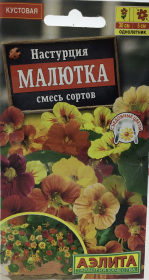 Настурция Малютка, смесь сортов. Аэлита