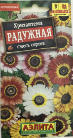 Хризантема Радужная, смесь сортов. Аэлита