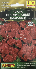 Флокс Промис Алый Махровый. Аэлита