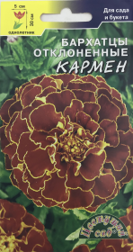 Бархатцы Кармен. Цветущий сад