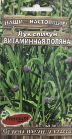 Лук-слизун Витаминная поляна. Premium seeds