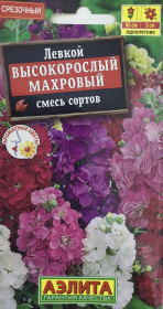 Левкой Высокорослый махровый, смесь сортов. Аэлита