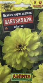 Цинния Дабл Захара желтая. Аэлита