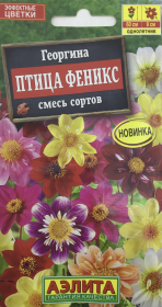 Георгина Птица Феникс, смесь сортов. Аэлита