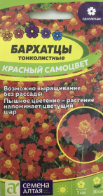 Бархатцы тонколистные Красный самоцвет. Семена Алтая