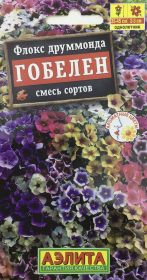 Флокс друммонда Гобелен, смесь сортов. Аэлита