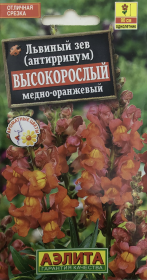 Львиный зев Высокорослый медно-оранжевый. Аэлита