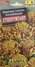 Бархатцы Супергигант. Аэлита