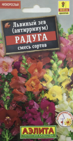 Львиный зев Радуга, смесь сортов. Аэлита