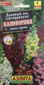 Львиный зев Калифорния, смесь сортов. Аэлита