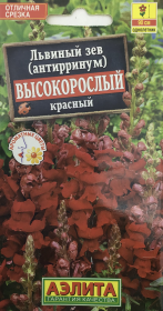 Львиный зев Высокорослый красный. Аэлита