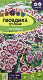 Гвоздика турецкая Княжна. Семена Алтая