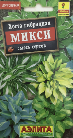 Хоста гибридная Микси, смесь сортов. Аэлита