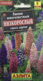 Люпин многолистный низкорослый, смесь сортов. Аэлита